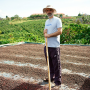 vc_gallery_0003_viet_cafe_raking_the_coffee_beans
